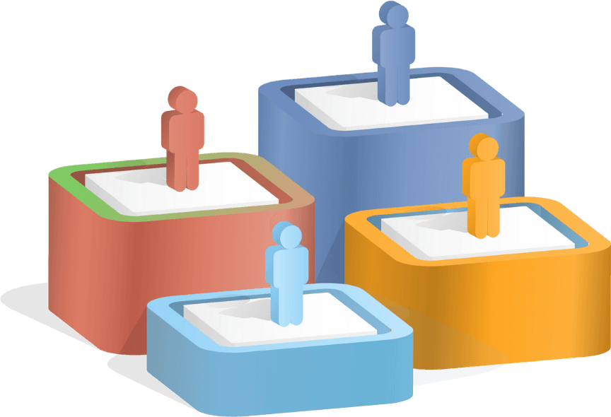 Vibrant Demography Skills