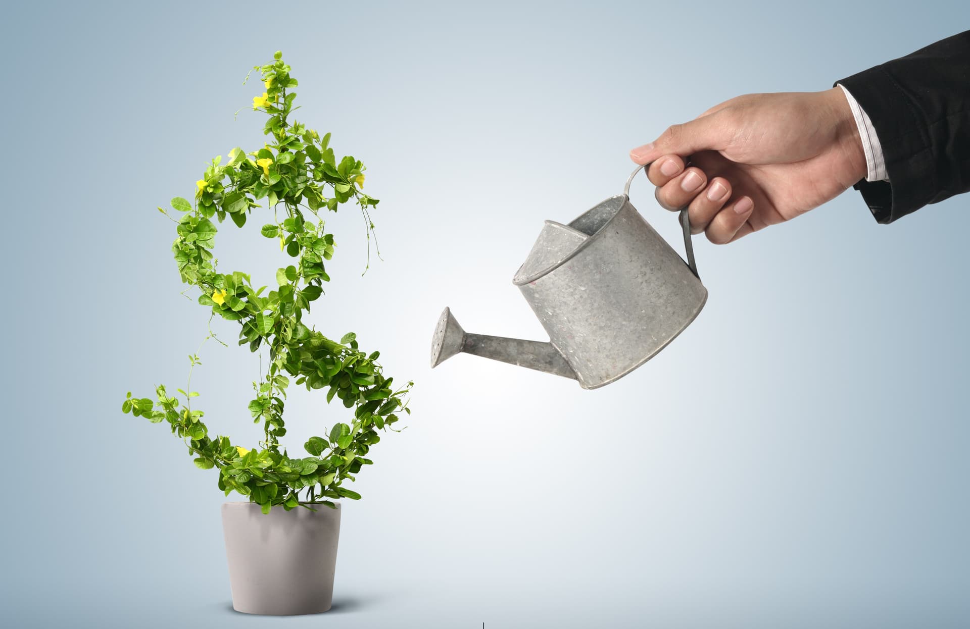 The Importance of Economic Independence